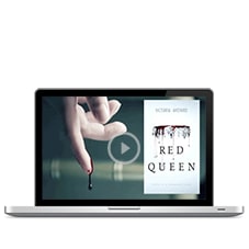 websiteimg Loading animation